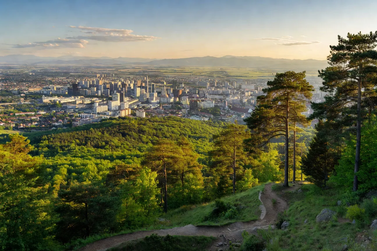 Vue panoramique de Zagreb depuis le mont Sljeme avec la ville et les forêts environnantes