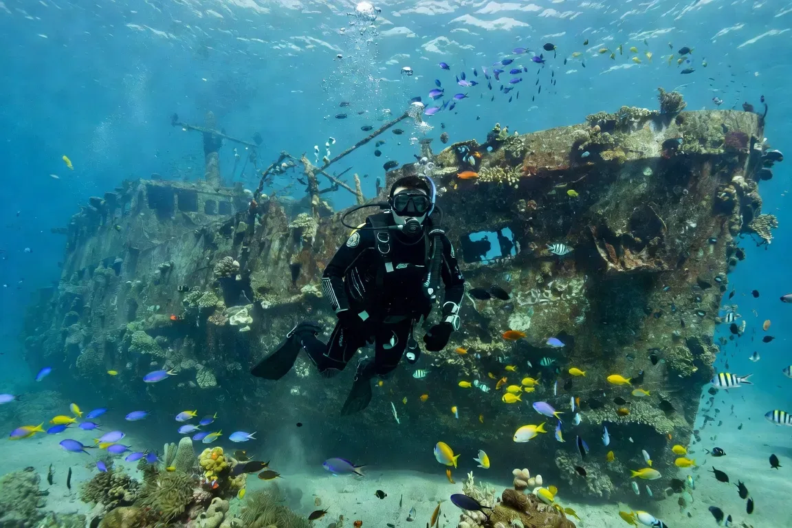 Plongée et snorkeling en Croatie 2026 : 10 meilleurs spots, réglementation, tarifs